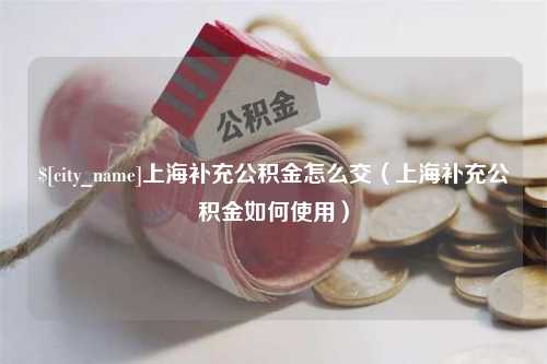 东海上海补充公积金怎么交（上海补充公积金如何使用）